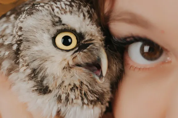 B Bets Casino Support